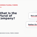 What Is the Plural of Company?