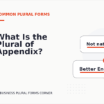 What Is the Plural of Appendix?