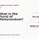 What Is the Plural of Memorandum?