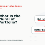 What Is the Plural of Portfolio?