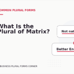 What Is the Plural of Matrix?