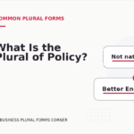 What Is the Plural of Policy?