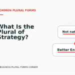 What Is the Plural of Strategy?