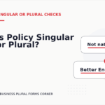Is Policy Singular or Plural?