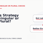Is Strategy Singular or Plural?